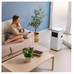 AIRE ACOND.PORT.08172 CECOTEC SOUNDLESS CONNECT-DI52 AIRE ACOND.PORT.08172 CECOTEC SOUNDLESS CONNECT