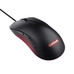 RATON TRUST GXT 924 YBARP BK