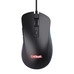 RATON TRUST GXT 924 YBARP BK