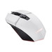RATON TRUST GXT 110 FELOX WH
