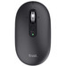 RATON TRUST SERON HYP BK-DU4 RATON TRUST SERON HYP BK