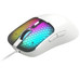 RATON TACENS MM-VIPER WH-DU2 RATON TACENS MM-VIPER WH